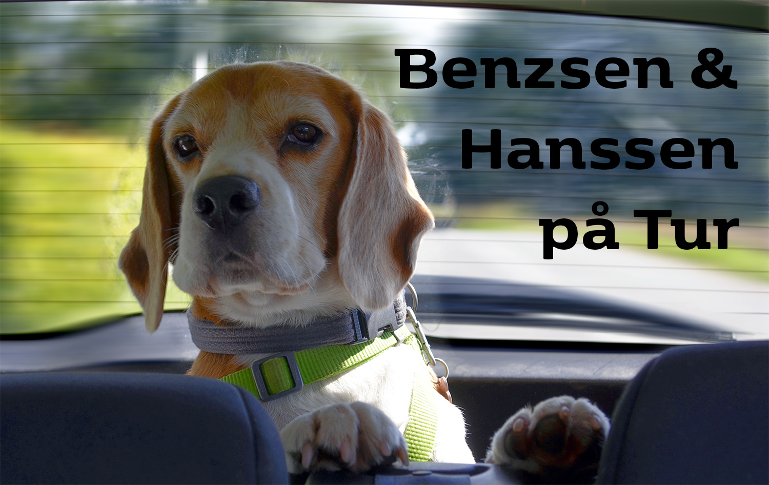 Benzsen & Hanssen